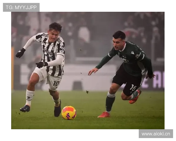 维罗纳未来规划聚焦青训建设与财务稳健，力争意甲长期立足